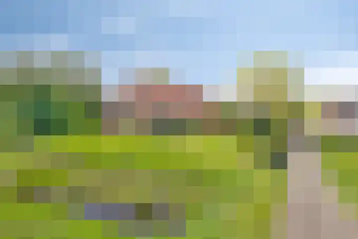 Nieuwediep 50 Nieuwediep thumbnail 8