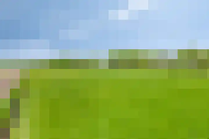 Nieuwediep 50 Nieuwediep thumbnail 9