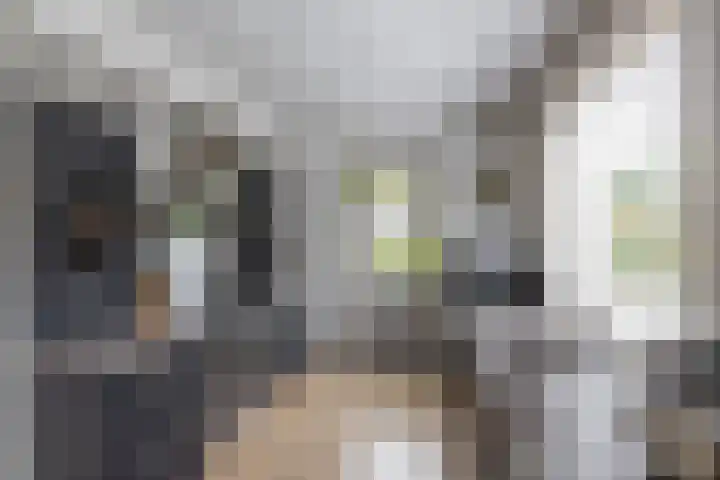 Nieuwediep 65 Nieuwediep thumbnail 10