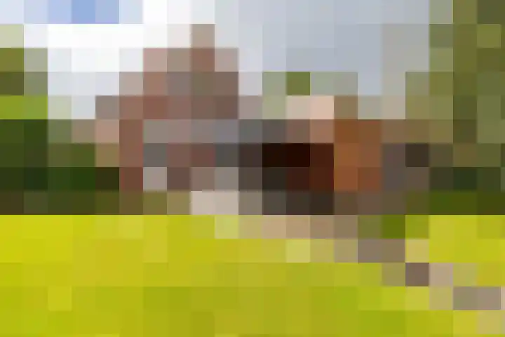 Nieuwediep 65 Nieuwediep foto 2