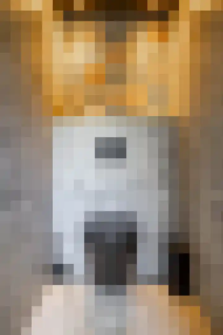 Nieuwediep 65 Nieuwediep thumbnail 21