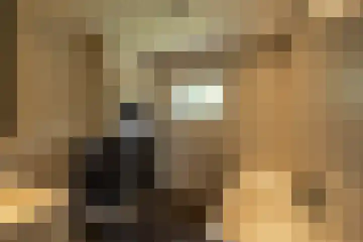 Nieuwediep 65 Nieuwediep thumbnail 22