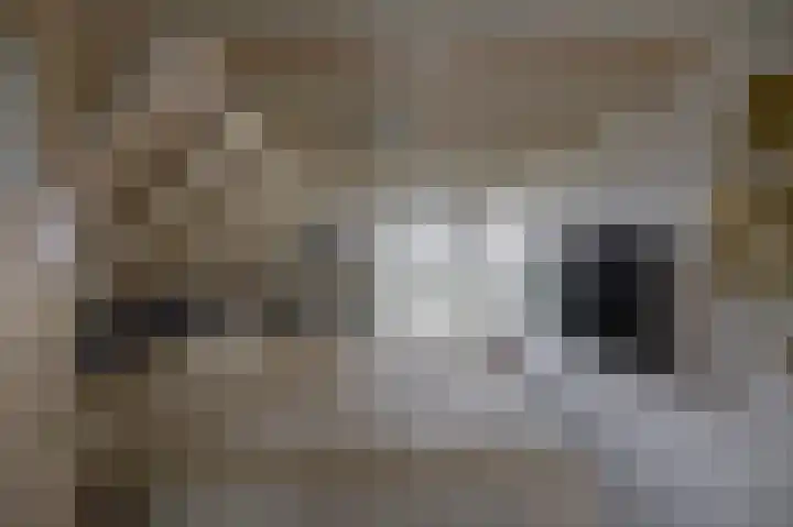 Nieuwediep 65 Nieuwediep thumbnail 27