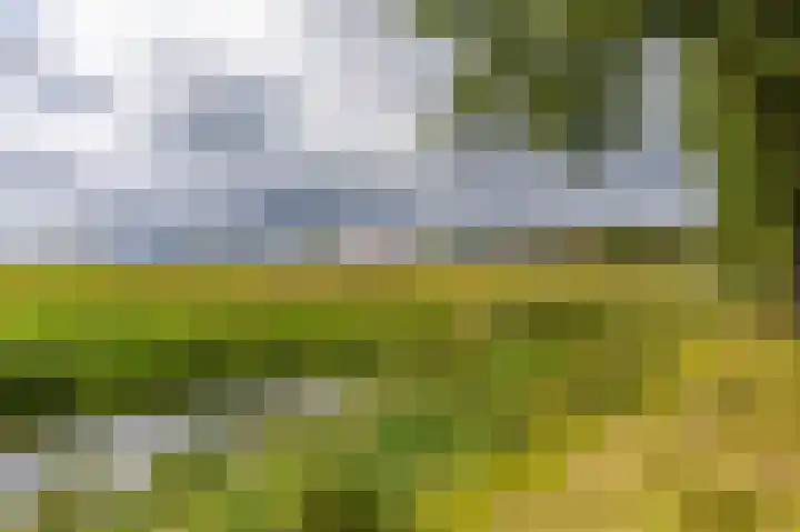 Nieuwediep 65 Nieuwediep foto 3