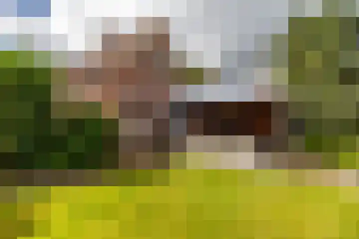 Nieuwediep 65 Nieuwediep thumbnail 36