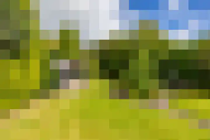 Nieuwediep 65 Nieuwediep thumbnail 38