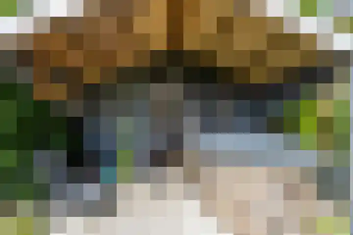 Nieuwediep 65 Nieuwediep thumbnail 40