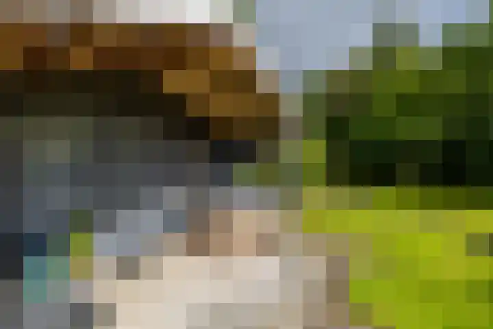 Nieuwediep 65 Nieuwediep thumbnail 41