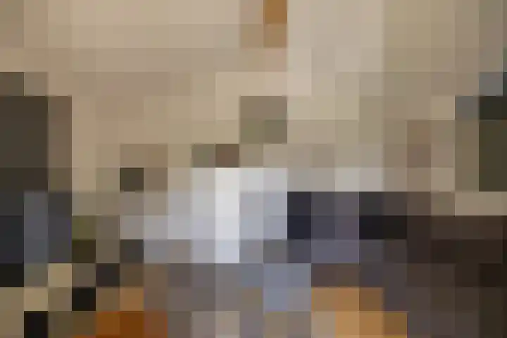 Nieuwediep 65 Nieuwediep thumbnail 42