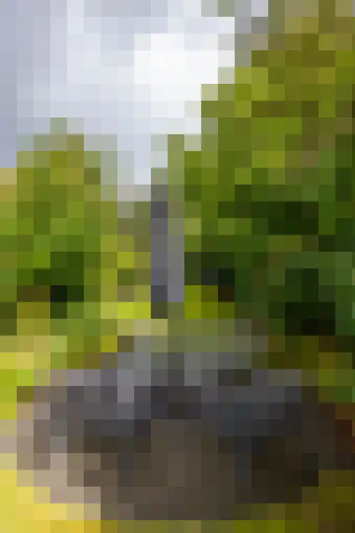 Nieuwediep 65 Nieuwediep thumbnail 43
