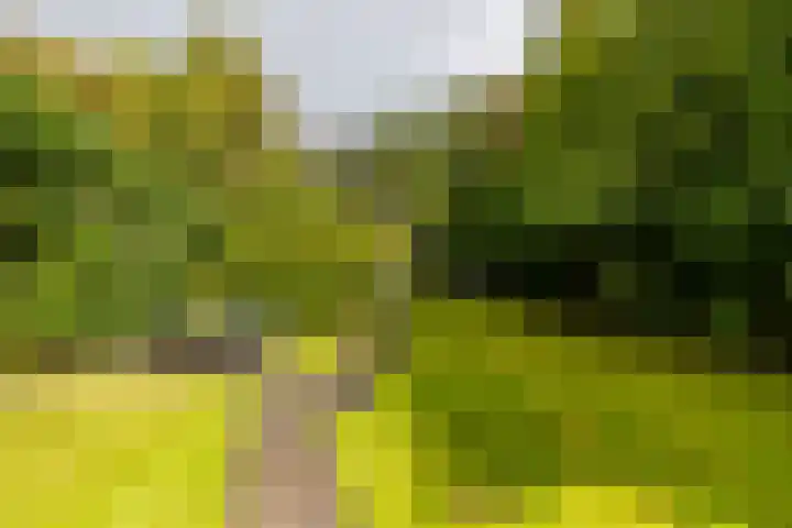 Nieuwediep 65 Nieuwediep thumbnail 44