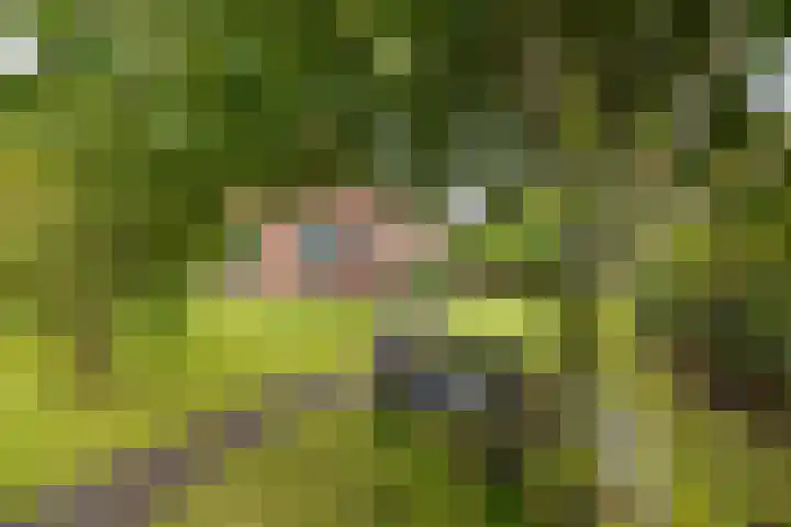 Nieuwediep 65 Nieuwediep thumbnail 46