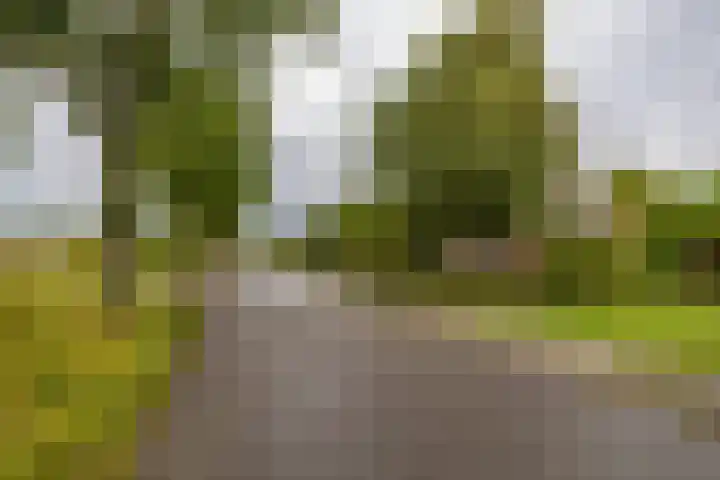 Nieuwediep 65 Nieuwediep thumbnail 47