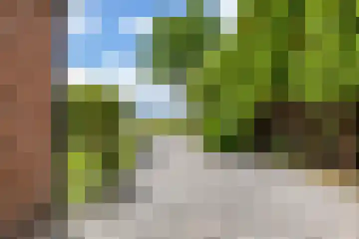 Nieuwediep 65 Nieuwediep thumbnail 5