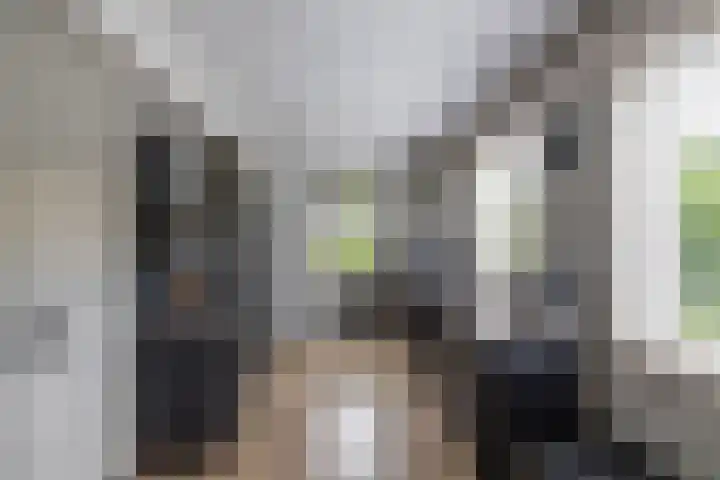 Nieuwediep 65 Nieuwediep thumbnail 8