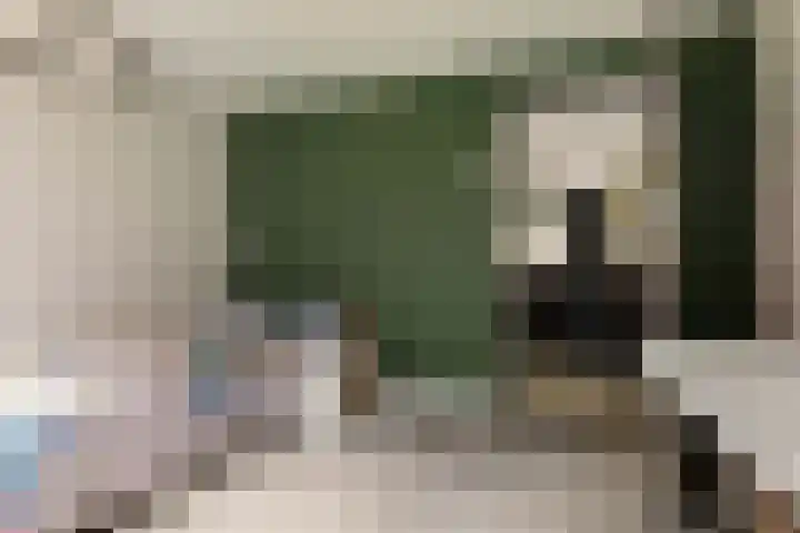 Nieuwediep 85 Nieuwediep thumbnail 15