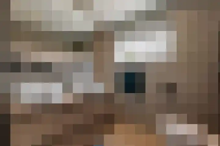 Nieuwediep 85 Nieuwediep thumbnail 16