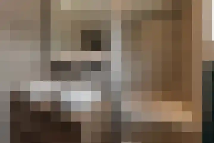 Nieuwediep 85 Nieuwediep thumbnail 17
