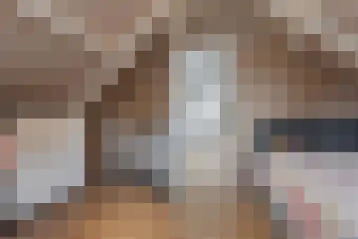 Nieuwediep 85 Nieuwediep thumbnail 21