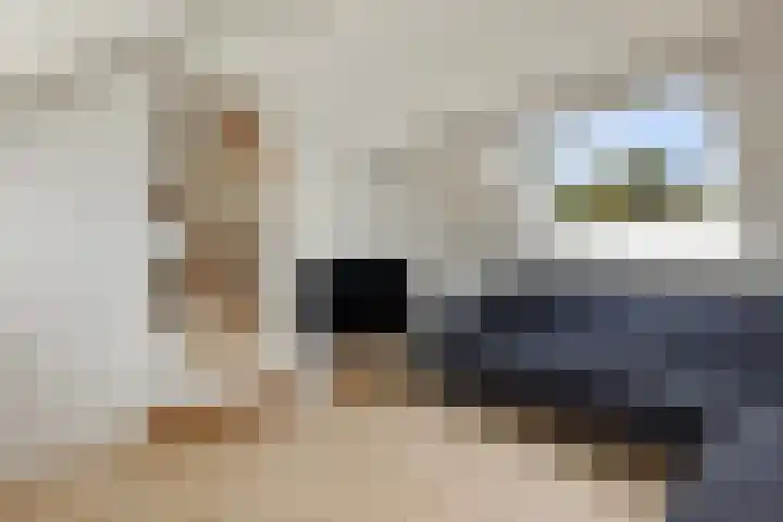Nieuwediep 85 Nieuwediep thumbnail 22