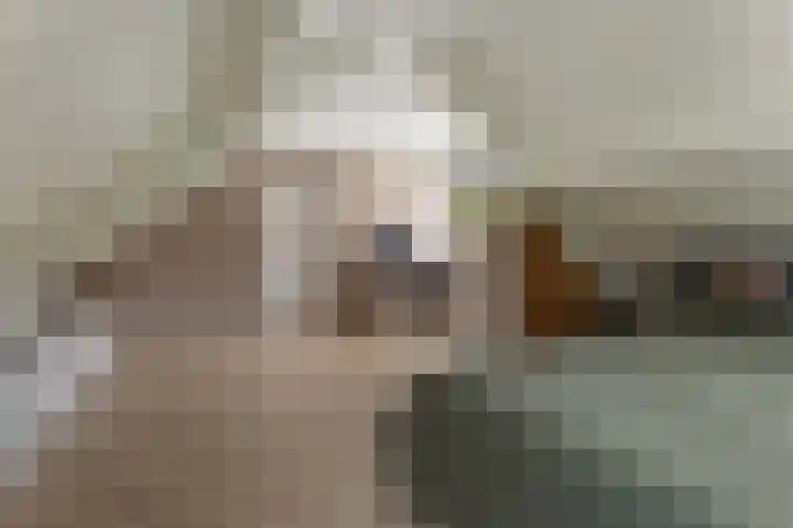 Nieuwediep 85 Nieuwediep thumbnail 24