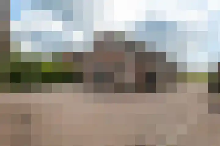 Nieuwediep 85 Nieuwediep thumbnail 25