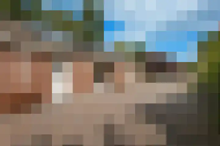 Nieuwediep 85 Nieuwediep thumbnail 26