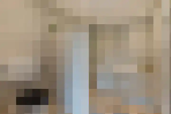 Nieuwediep 85 Nieuwediep thumbnail 31