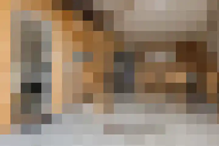 Nieuwediep 85 Nieuwediep thumbnail 33
