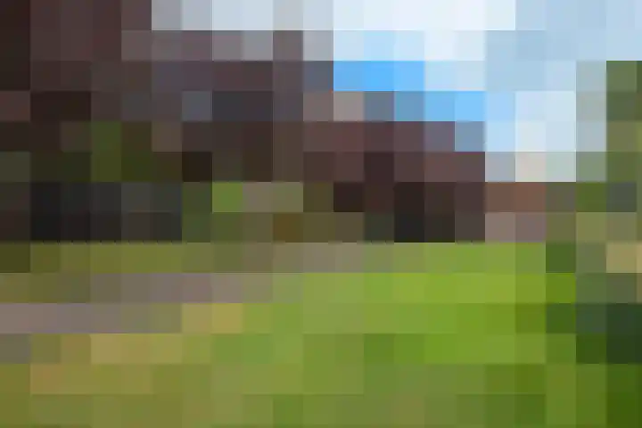 Nieuwediep 85 Nieuwediep thumbnail 35