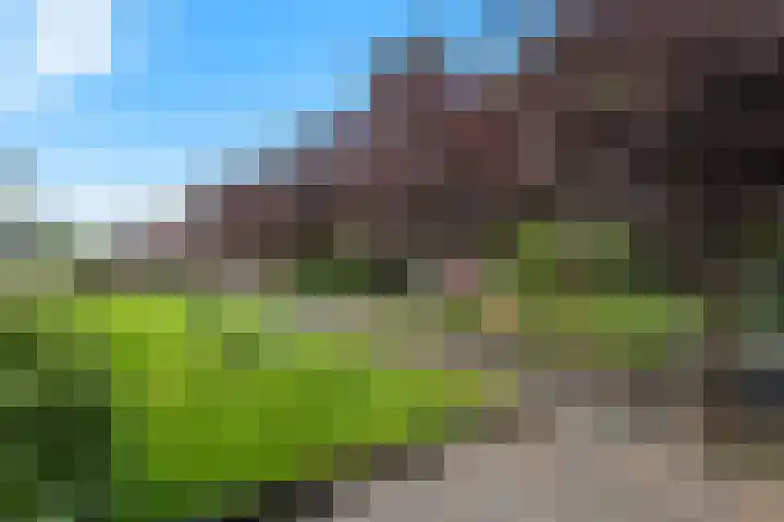 Nieuwediep 85 Nieuwediep thumbnail 36