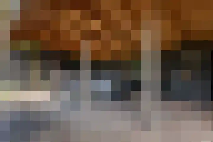 Nieuwediep 85 Nieuwediep thumbnail 37