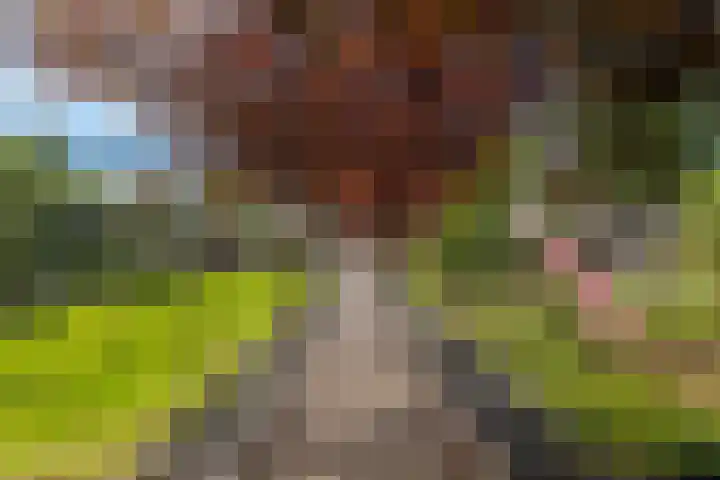 Nieuwediep 85 Nieuwediep thumbnail 39