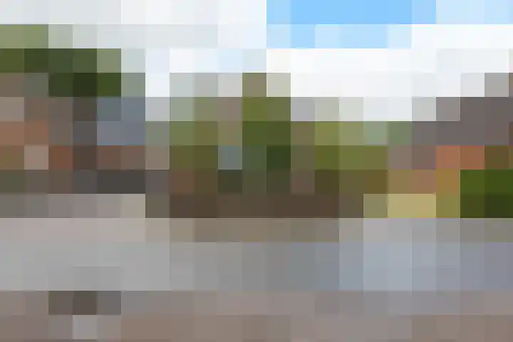 Nieuwediep 85 Nieuwediep thumbnail 40