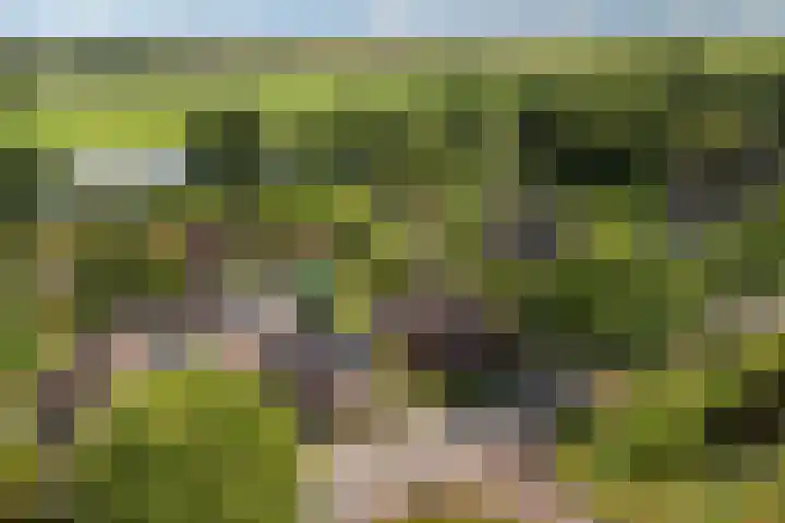 Nieuwediep 85 Nieuwediep thumbnail 42