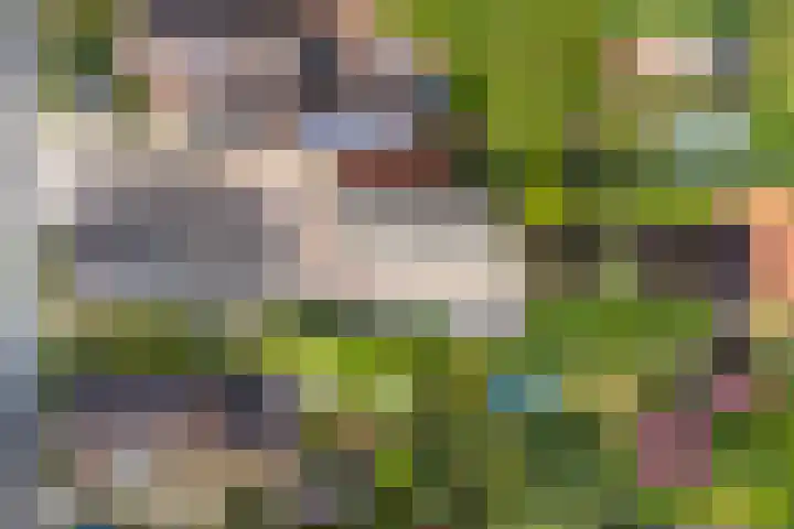 Nieuwediep 85 Nieuwediep thumbnail 43