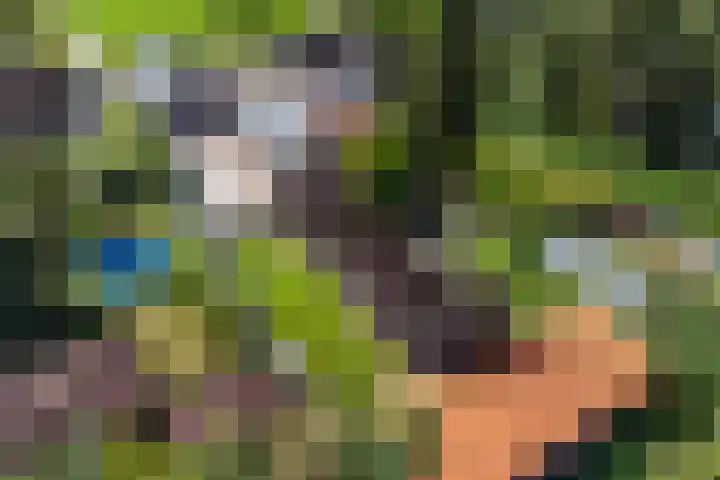 Nieuwediep 85 Nieuwediep thumbnail 44