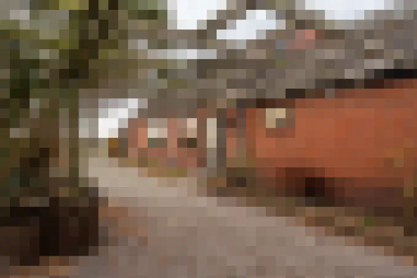 Nieuwediep 87 Nieuwediep thumbnail 37