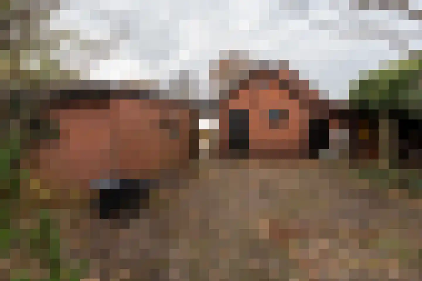 Nieuwediep 87 Nieuwediep thumbnail 38