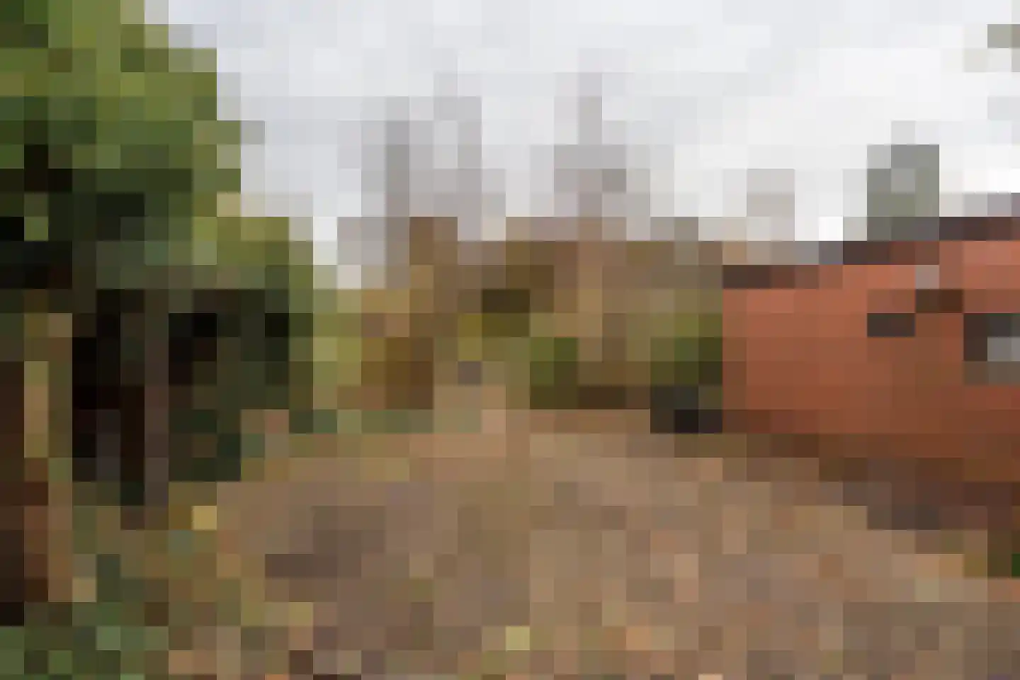 Nieuwediep 87 Nieuwediep thumbnail 39
