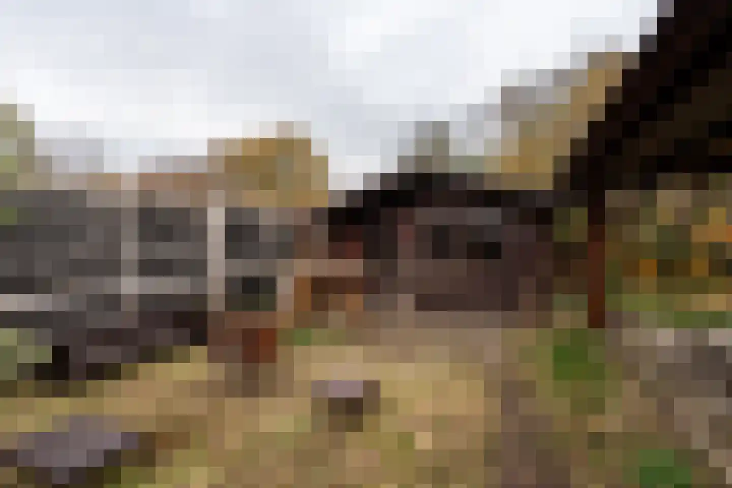 Nieuwediep 87 Nieuwediep thumbnail 40