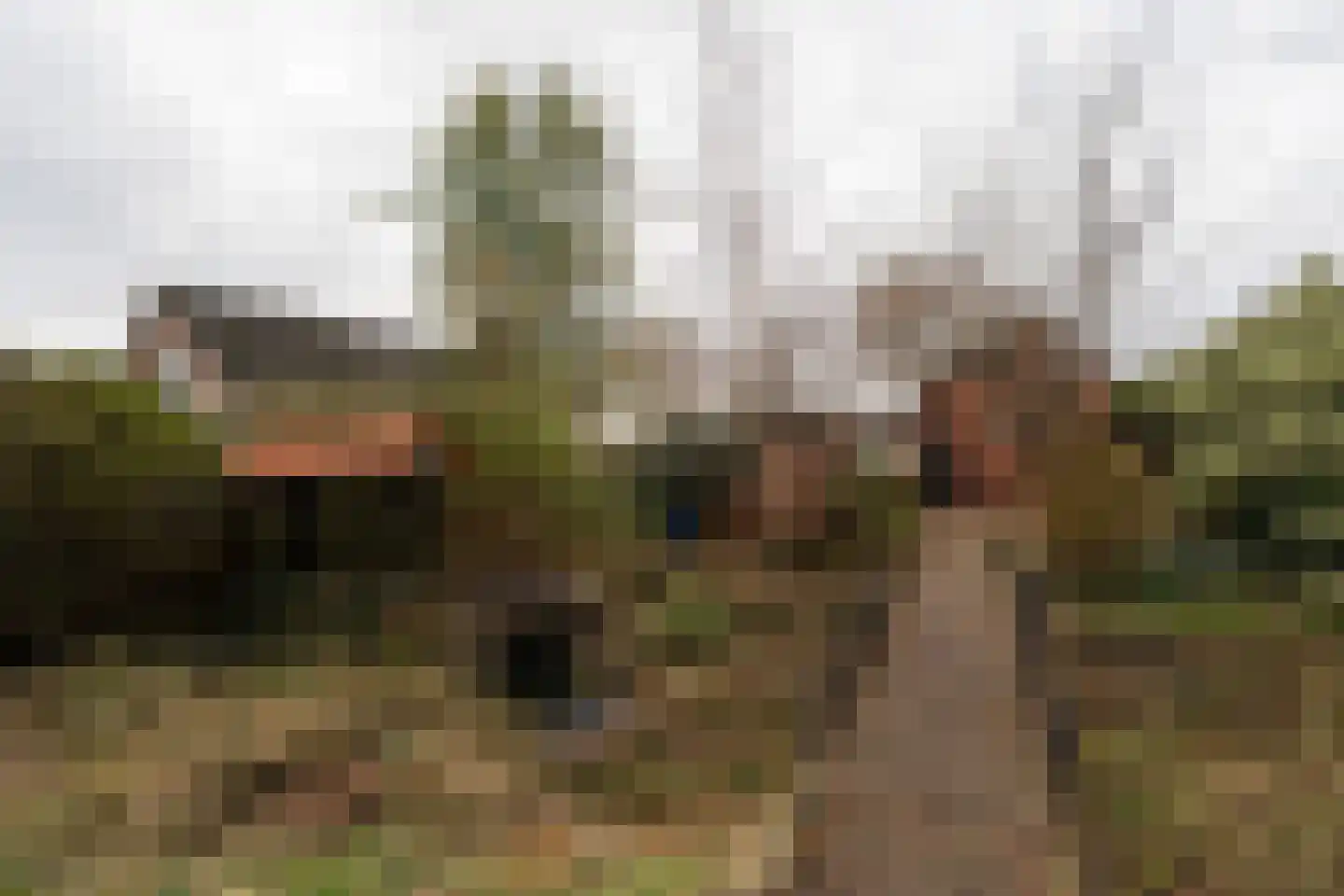 Nieuwediep 87 Nieuwediep thumbnail 44
