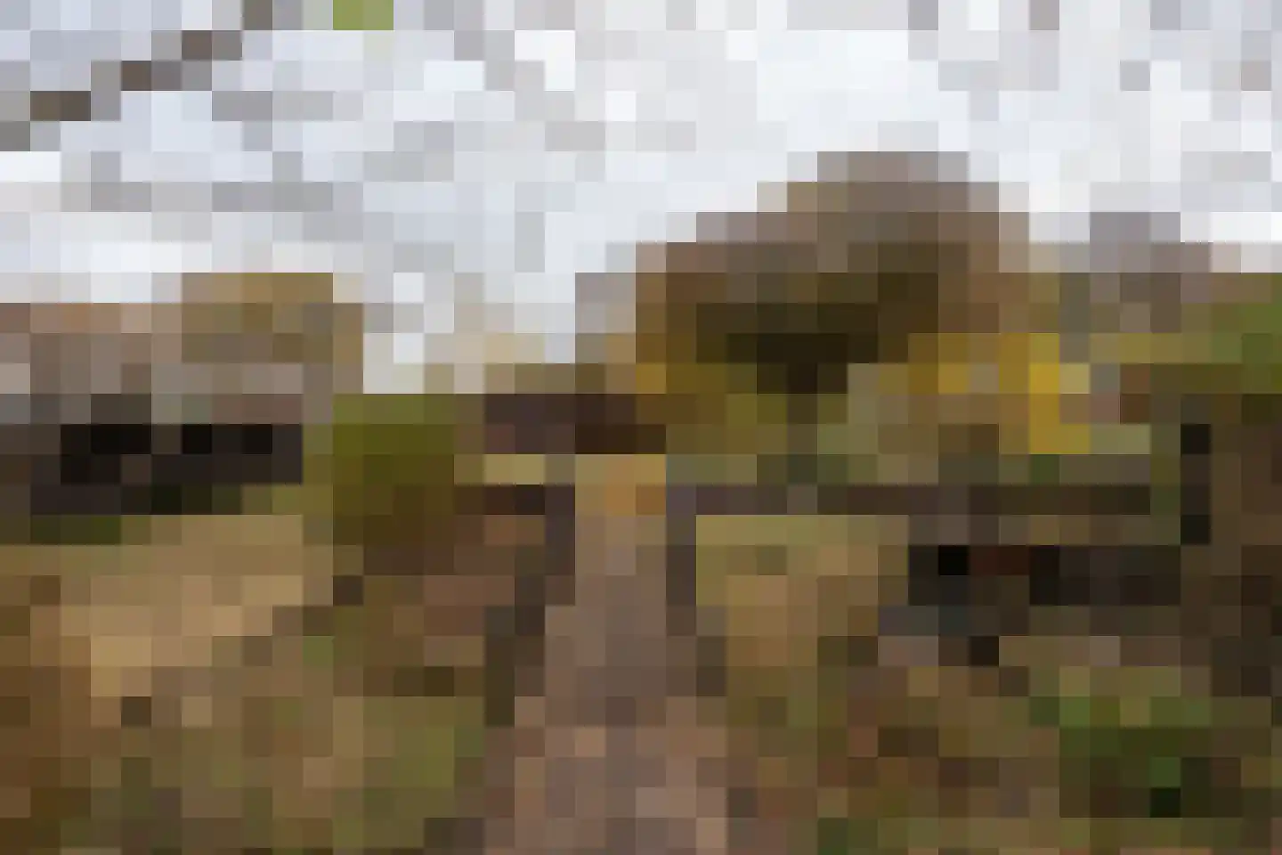 Nieuwediep 87 Nieuwediep thumbnail 45