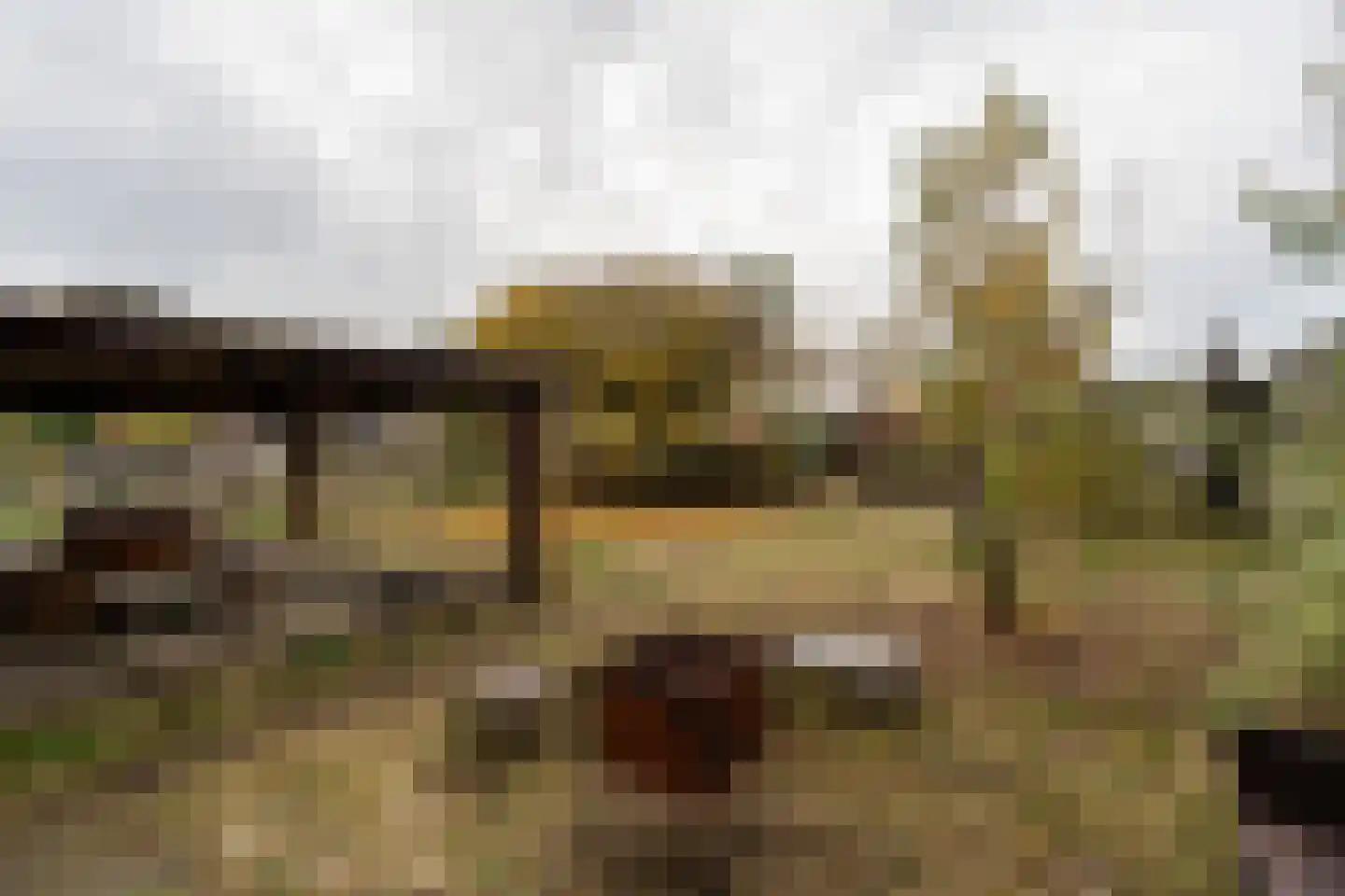 Nieuwediep 87 Nieuwediep thumbnail 46