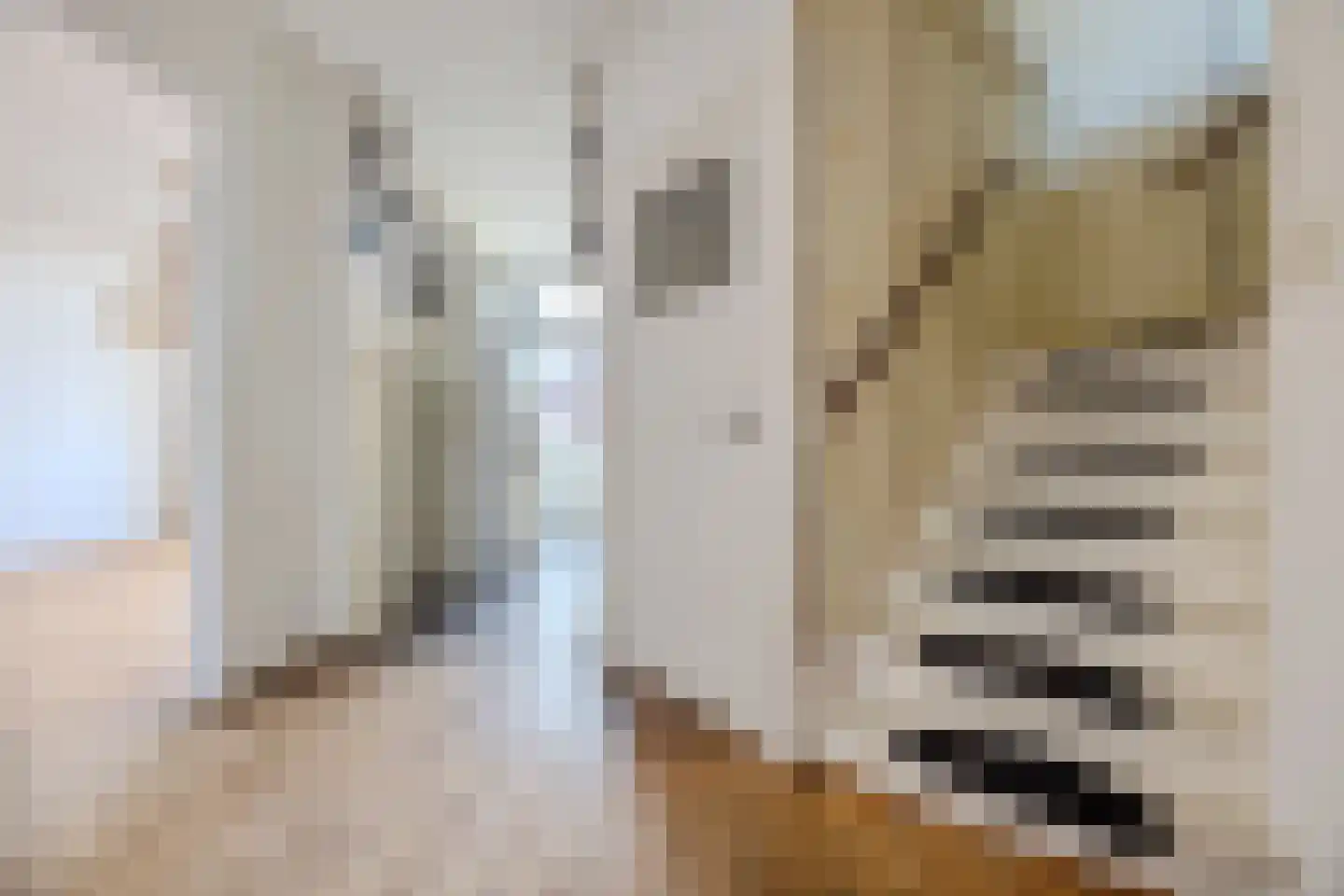 Nieuwediepstraat 101 Den Haag thumbnail 7