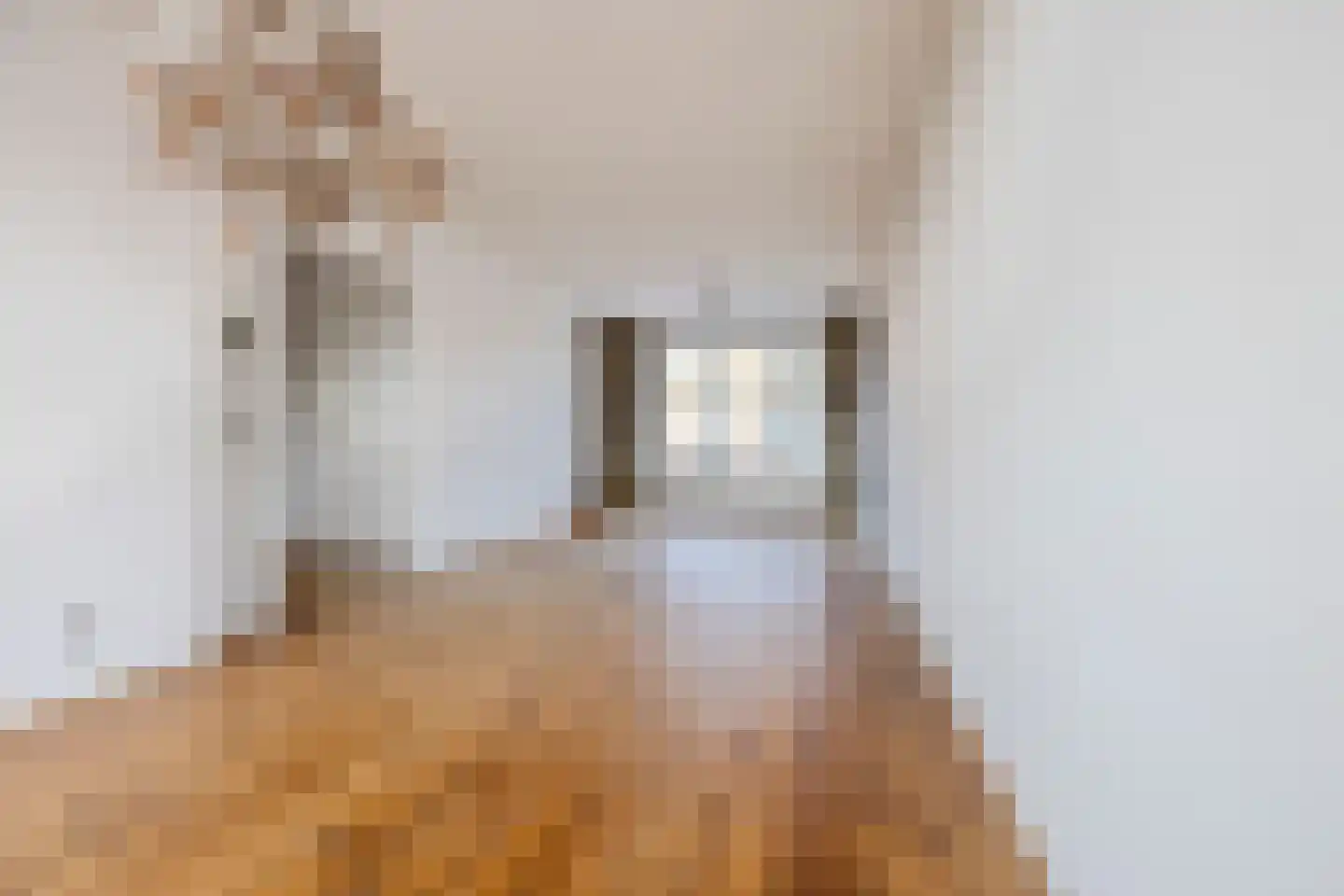 Nieuwediepstraat 101 Den Haag thumbnail 8