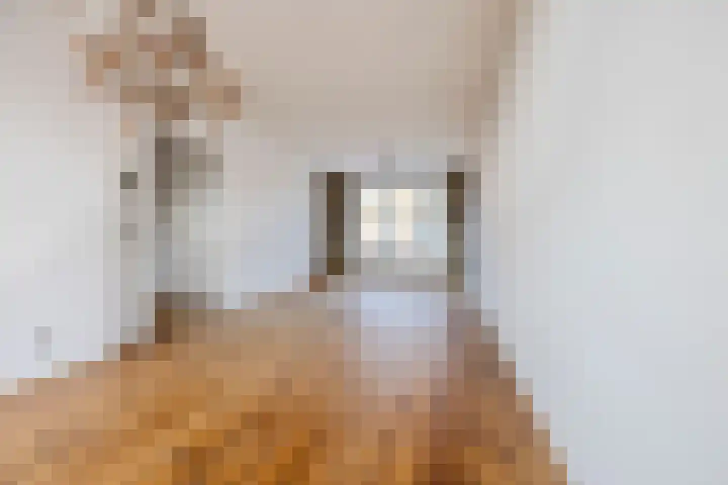 Nieuwediepstraat 101 Den Haag thumbnail 8