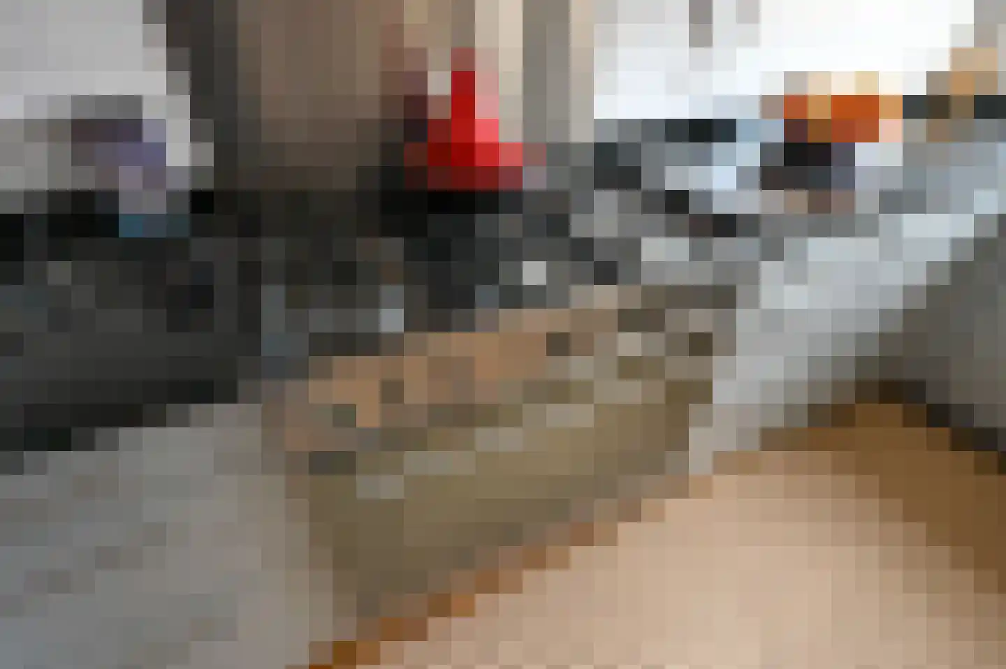 Nieuwediepstraat 13 Den Haag thumbnail 26