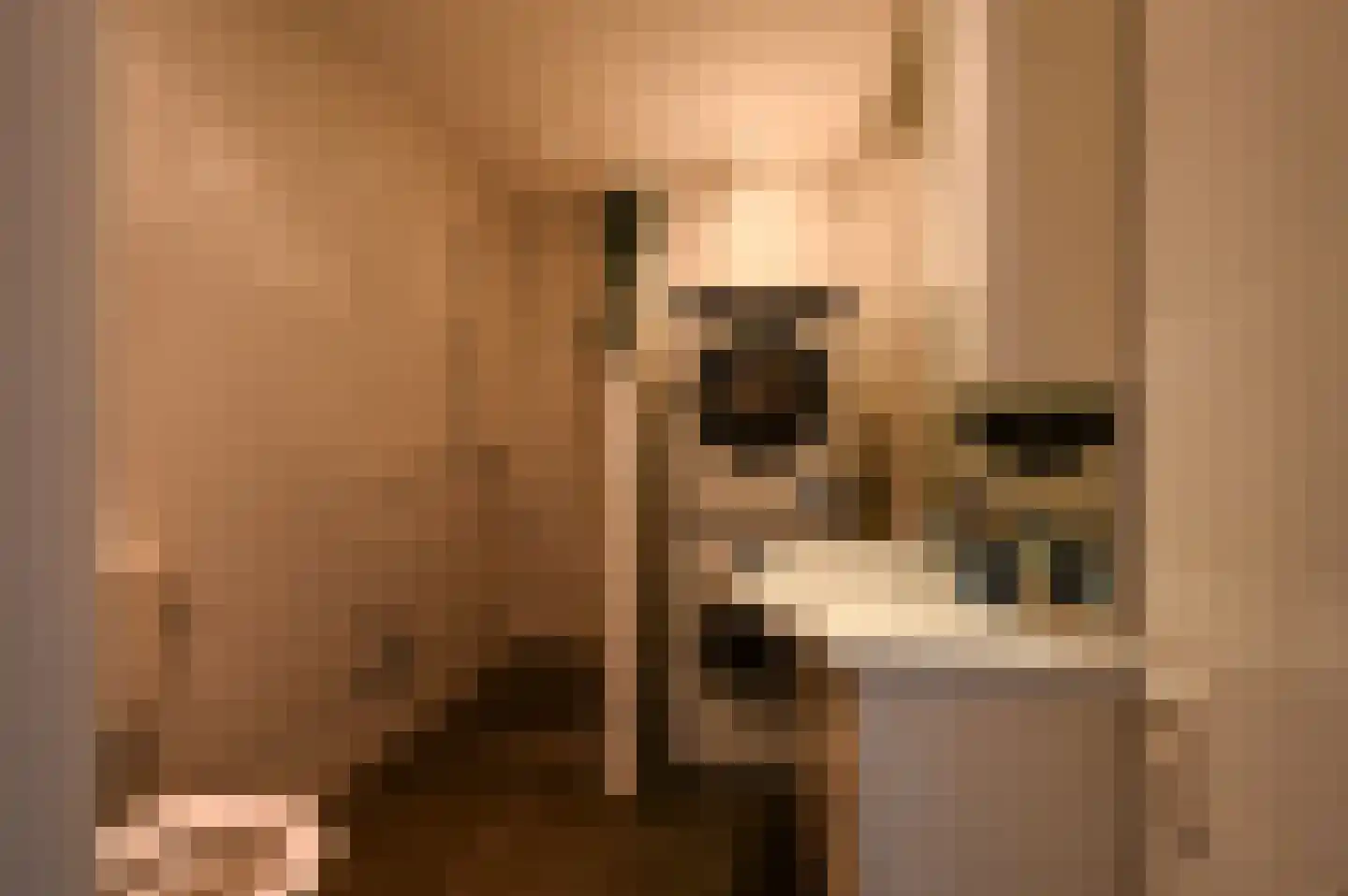 Nieuwediepstraat 13 Den Haag thumbnail 35