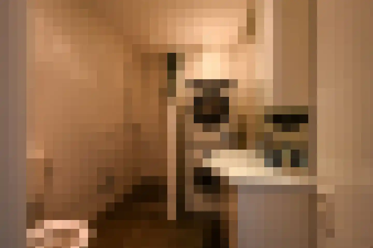 Nieuwediepstraat 13 Den Haag thumbnail 5